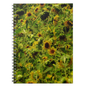 Caderno Espiral Campo de girassol
