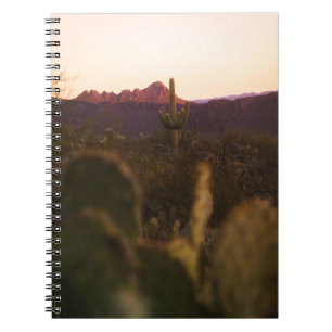 CADERNO ESPIRAL CAMPO DE GRAMA VERDE