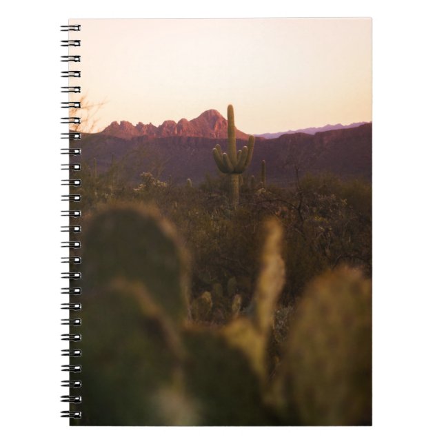 CADERNO ESPIRAL CAMPO DE GRAMA VERDE (Frente)