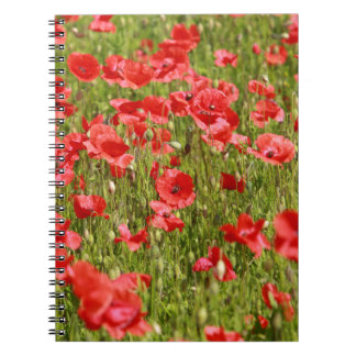 Caderno Espiral Campo de papoila.