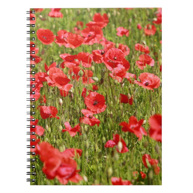 Caderno Espiral Campo de papoila. (Frente)