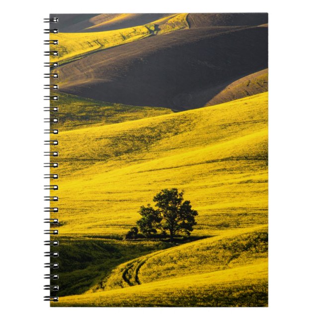Caderno Espiral Campo de prado amarelo no vento (Frente)