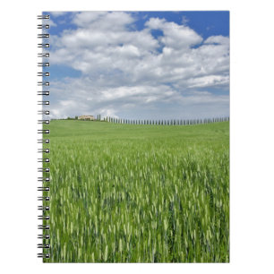 Caderno Espiral Campo de trigo e estrada ladeada por ciprestes maj