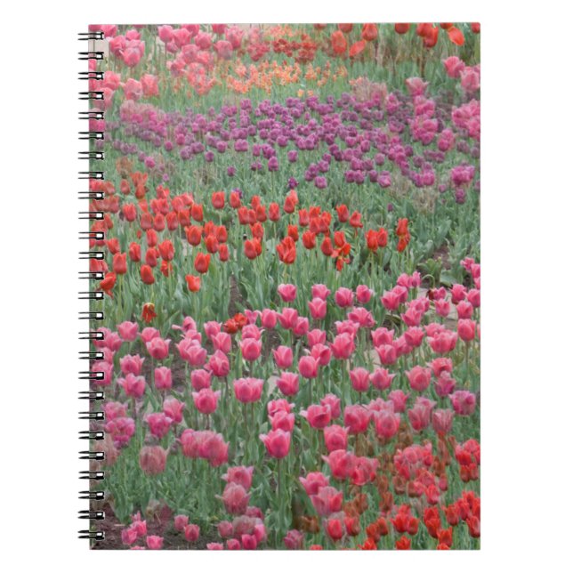 Caderno Espiral Campo De Tulipas (Frente)