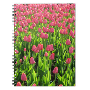 Caderno Espiral Campo de Tulipas Rosa