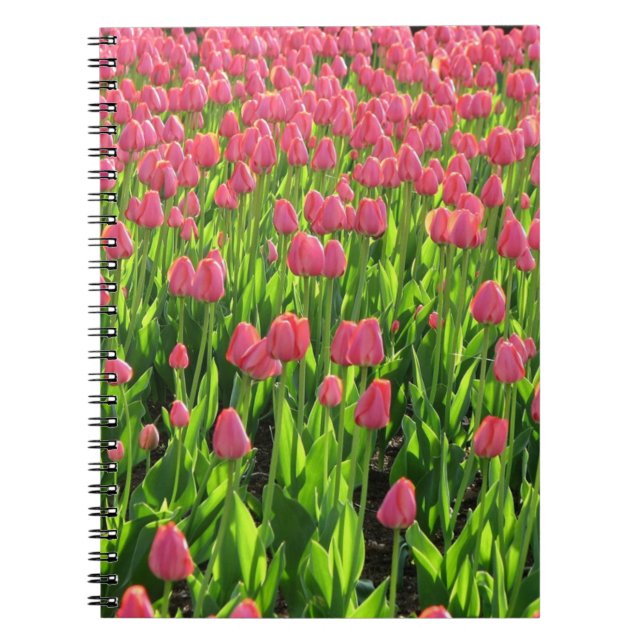 Caderno Espiral Campo de Tulipas Rosa (Frente)