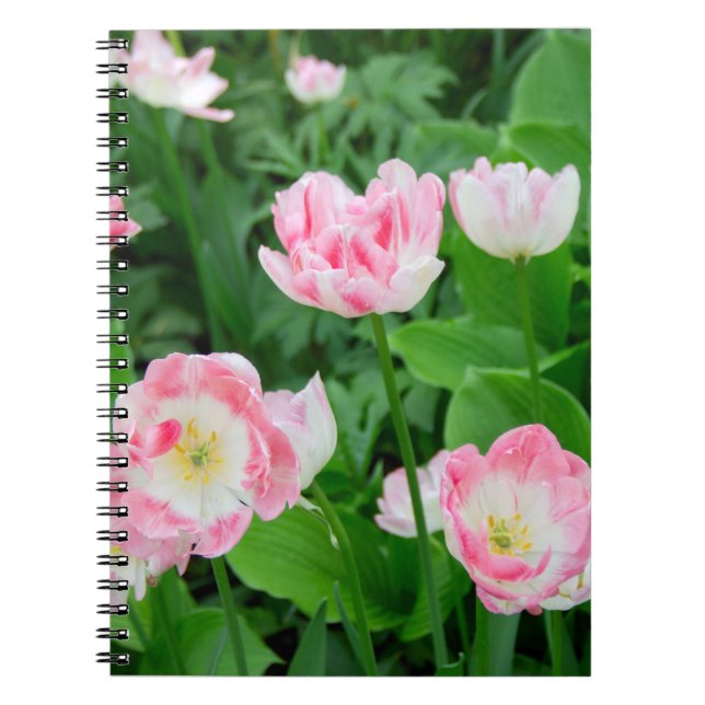 Caderno Espiral Campo de tulipas rosa (Frente)