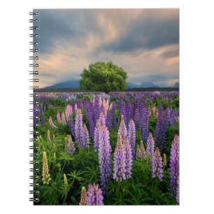 Caderno Espiral Campo do Lupin em Nova Zelândia