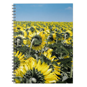 Caderno Espiral Campo dos girassóis