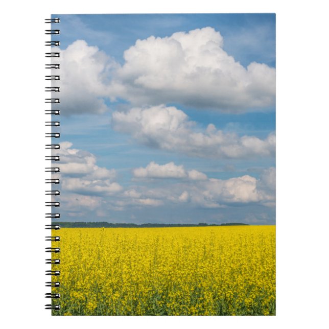 Caderno Espiral Campos e Nuvens de Canola (Frente)