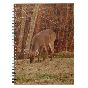 Caderno Espiral Camuflagem de carvalho vermelho Saco de carne de v