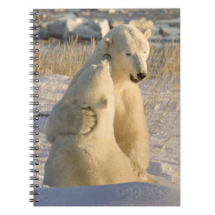 Caderno Espiral Canadá, Manitoba, Baía de Hudson, Churchill.