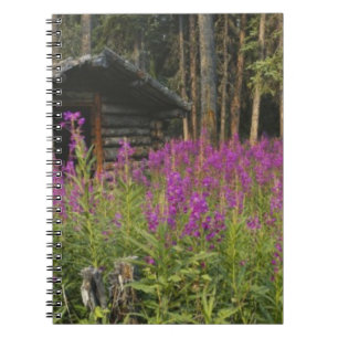 Caderno Espiral Canadá, Yukon, região do Rio Ross, Cabana abandona
