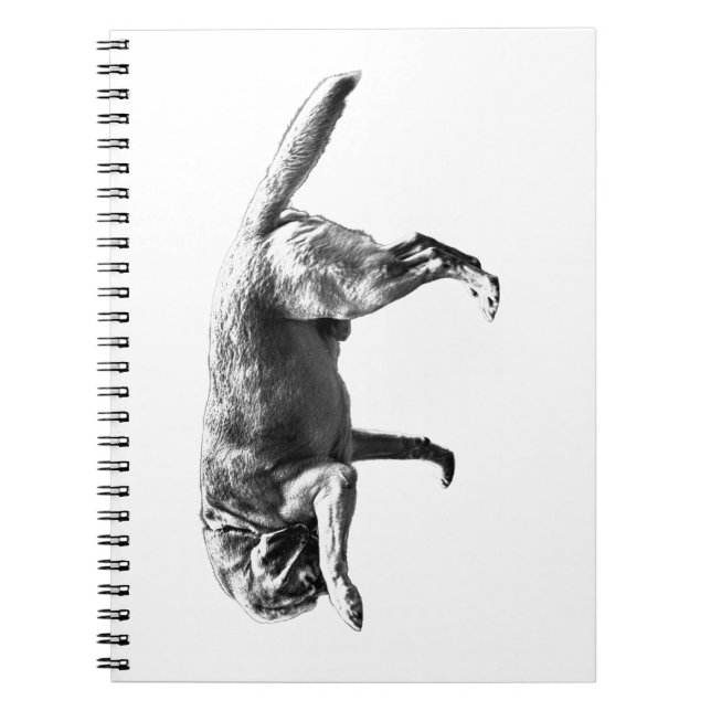 Caderno Espiral Candid Pause (Frente)