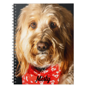 Caderno Espiral Caneta de Ouro Personalizada