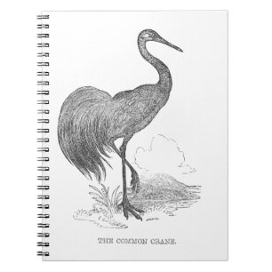 Caderno Espiral Caneta e desenho de tinta das aves da grua-vidrada