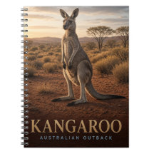 Canguru Vida Selvagem no Sertão Australiano ANIMAL