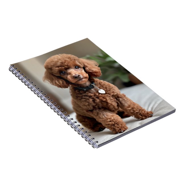 Caderno Espiral Caniche Anão 2 (Lado Direito)