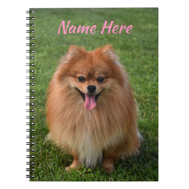 Caderno Espiral Canino Pulomerano Fluffy Brown Personalizado (Frente)