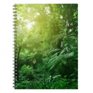 Caderno Espiral Canopia da árvore solar na selva tropical