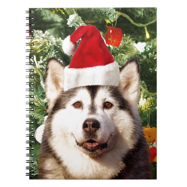 Caderno Espiral Canteiro de Árvores de Natal Siberian Husky Snowma (Frente)