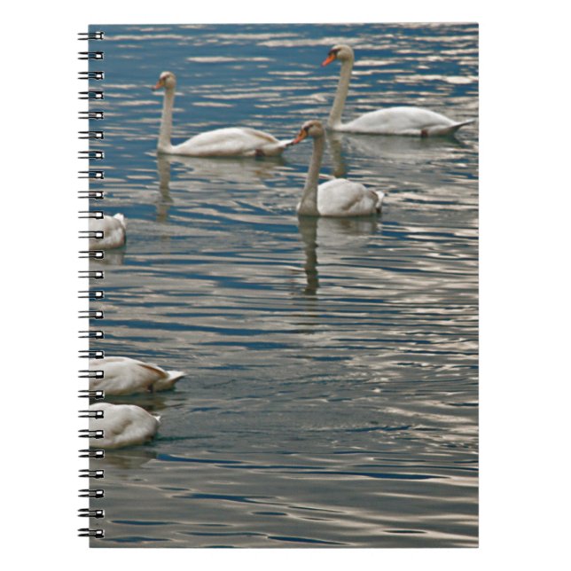 Caderno Espiral Canto do Cisne (Frente)