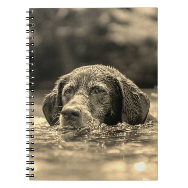 Caderno Espiral Cão (Frente)