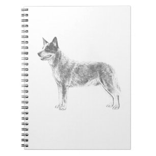 Caderno Espiral Cão australiano do gado