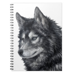 Caderno Espiral Cão Balto