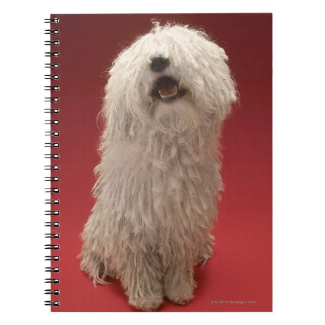 Caderno Espiral Cão bonito de Komondor (Frente)