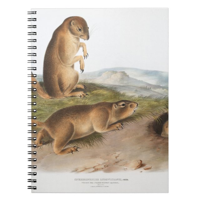 Caderno Espiral Cão da pradaria ou esquilo marmota da pradaria Aca (Frente)