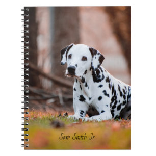 Caderno Espiral Cão Dalmatian personalizado