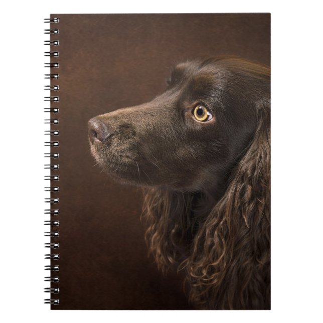 Caderno Espiral Cão De Cabelo Castanho (Frente)