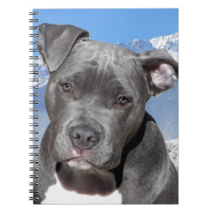 Caderno Espiral Cão de filhote de cachorro de Pitbull Terrier do