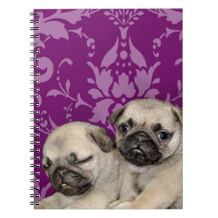 Caderno Espiral Cão de filhotes de cachorro do Pug
