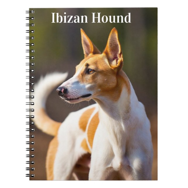 Caderno Espiral Cão de Ibiza (Frente)