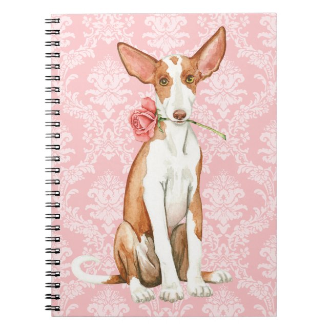 Caderno Espiral Cão de Ibizan cor-de-rosa dos namorados (Frente)