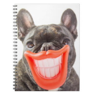 Caderno Espiral Cão de sorriso das imagens A de Getty