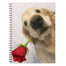 Caderno Espiral Cão do golden retriever com rosa vermelha