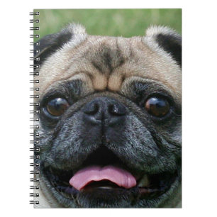 Caderno Espiral Cão do Pug