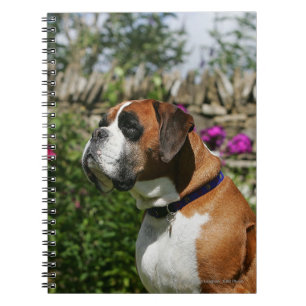 Caderno Espiral Cão do pugilista nas flores
