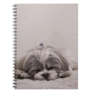 Caderno Espiral Cão do sono do tzu de Shih