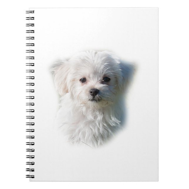 Caderno Espiral Cão maltês bonito (Frente)