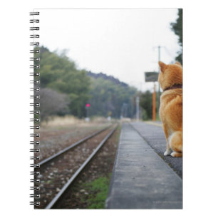 Caderno Espiral Cão que senta-se no estação de caminhos-de-ferr