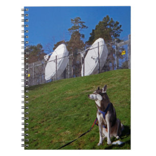 Caderno Espiral Cão rastreador