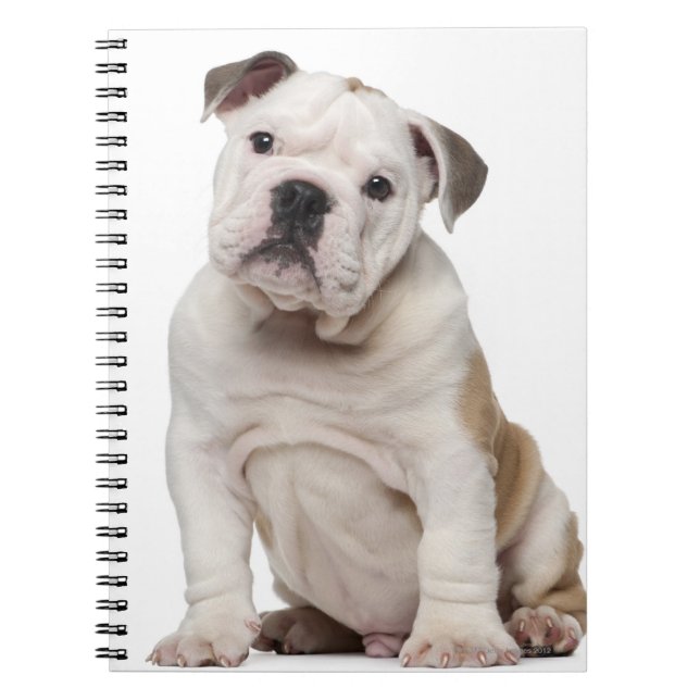 Caderno Espiral Cãozinho-buldogue inglês (2 meses de idade) (Frente)