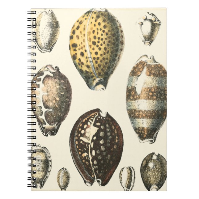 Caderno Espiral Capas de Costura Uniformes (Frente)