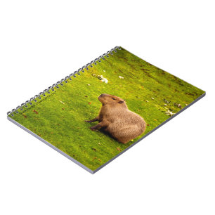 Caderno Espiral Capivara