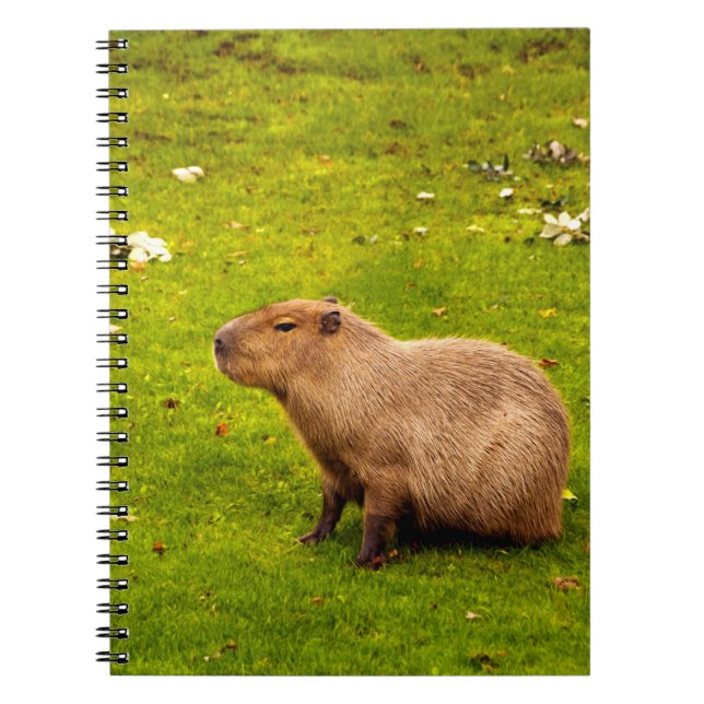 Caderno Espiral Capivara (Frente)