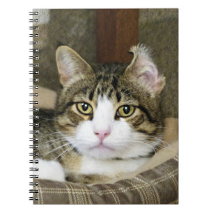 Caderno Espiral Capturado